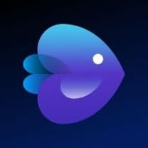 Invideo AI Logo Image